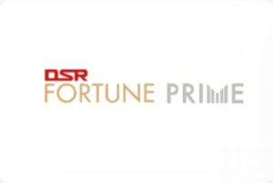 DSR Fortune Prime in Madhapur, Hyderabad mosquito net