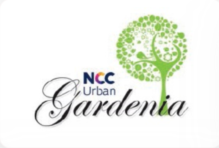 NCC Urban Gardenia Hi Tech City, Hyderabad mosquito net